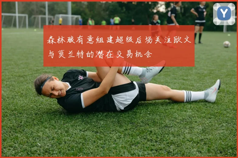 森林狼有意组建超级后场关注欧文与莫兰特的潜在交易机会